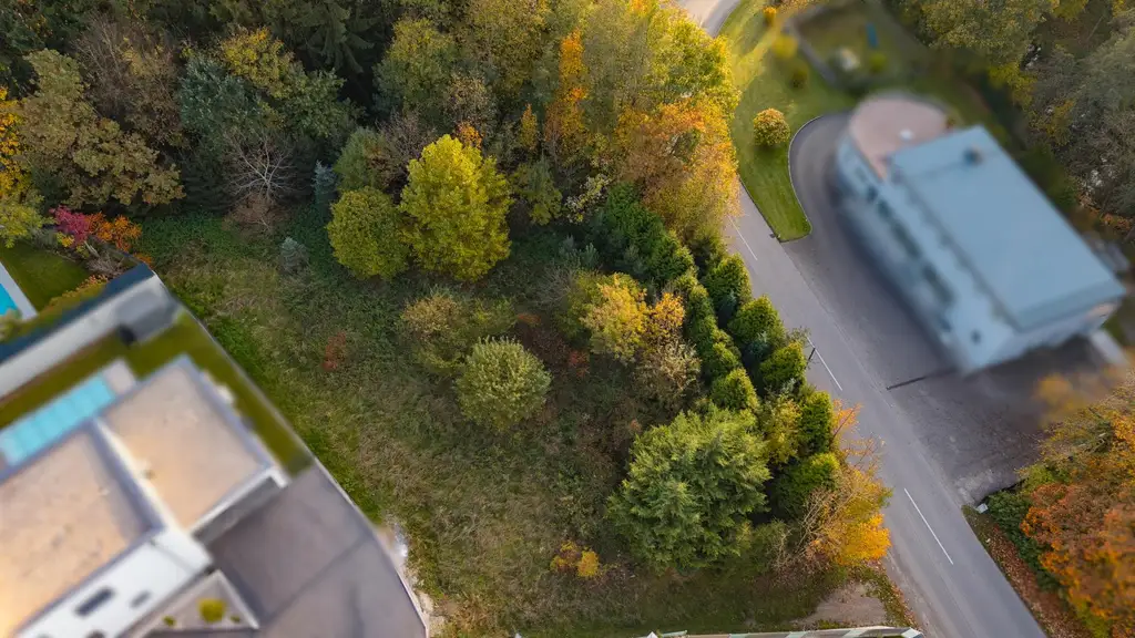 Vom Traum zum Zuhause – 821 m² Lebensfreude in Steinhaus - Grundstück mit vielen Möglichkeiten