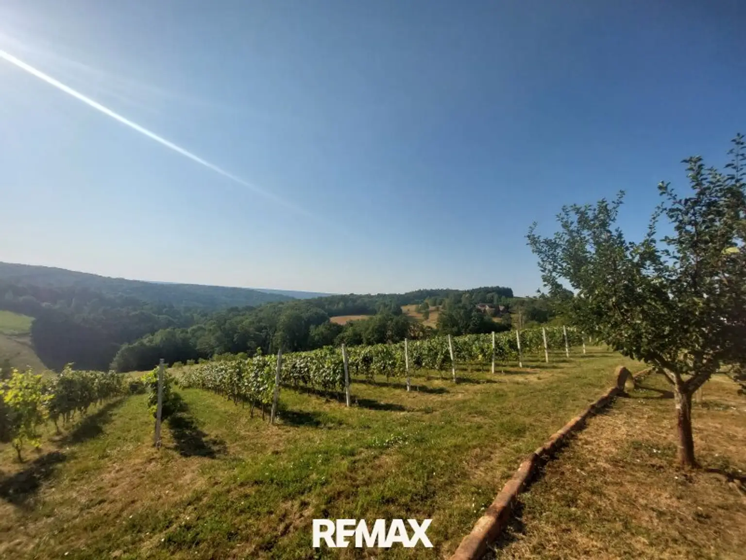 fantastischer Weitblick auf den eigene Weingarten, Wald und Wiesen