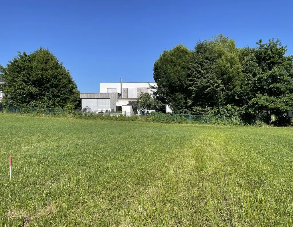 Traumhaftes Grundstück in Zell am Moos - 1120m² für Ihr Bauprojekt!