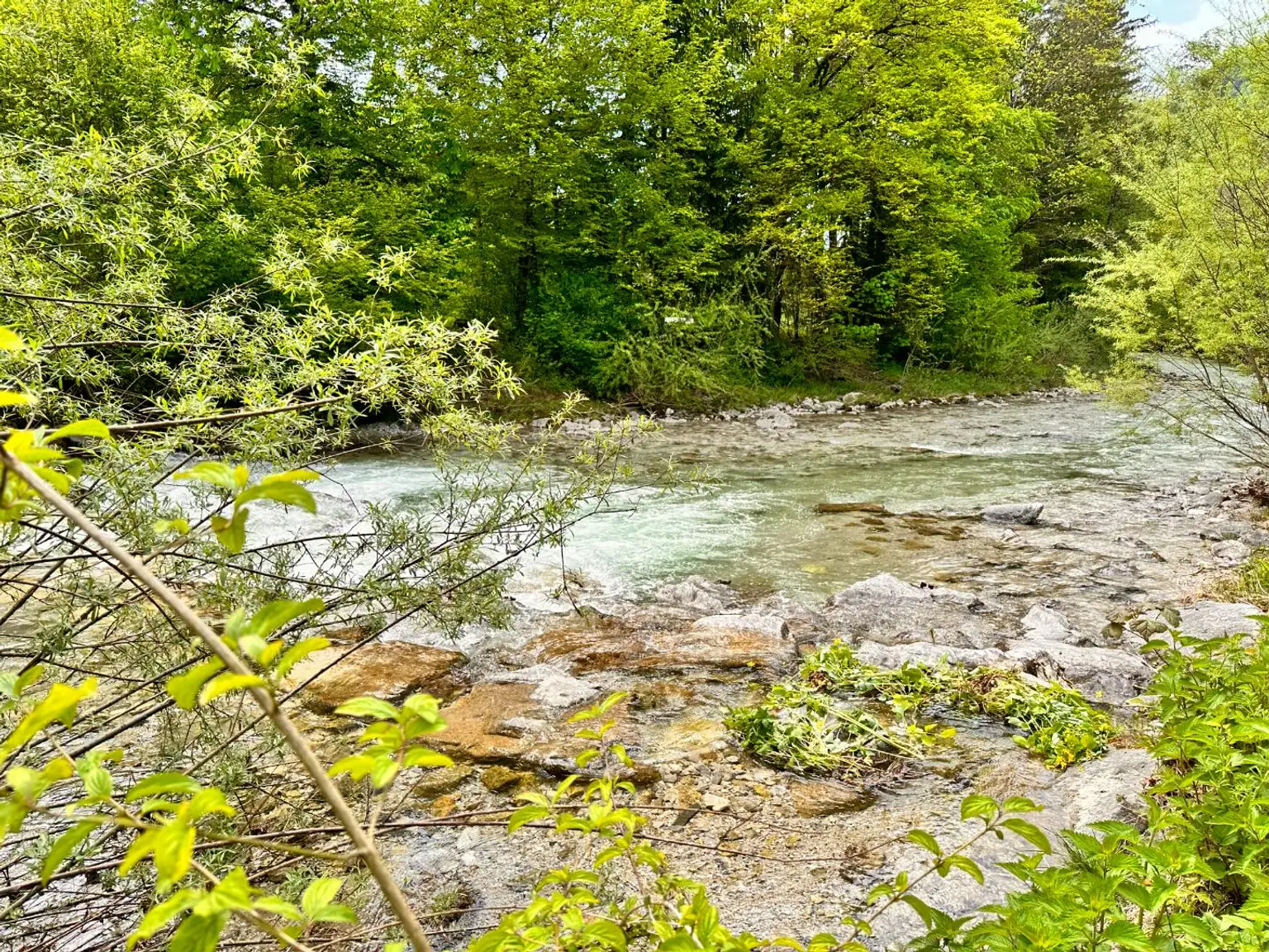 Naturgenuss pur – Ruhiges Wohnen in Grünau
