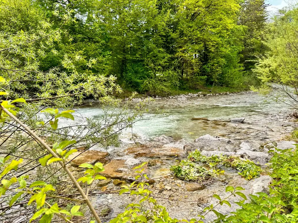 Naturgenuss pur – Ruhiges Wohnen in Grünau