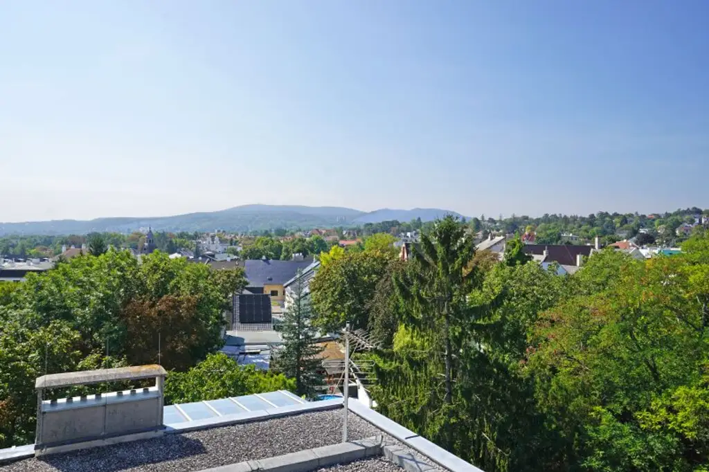Penthouse-Wohnung | 131 m² Wfl. | 80 m² Dachterrasse mit 270°-Ausblick | PKW-Stellplatz | riesiger Gemeinschaftsgarten | im Zentrum