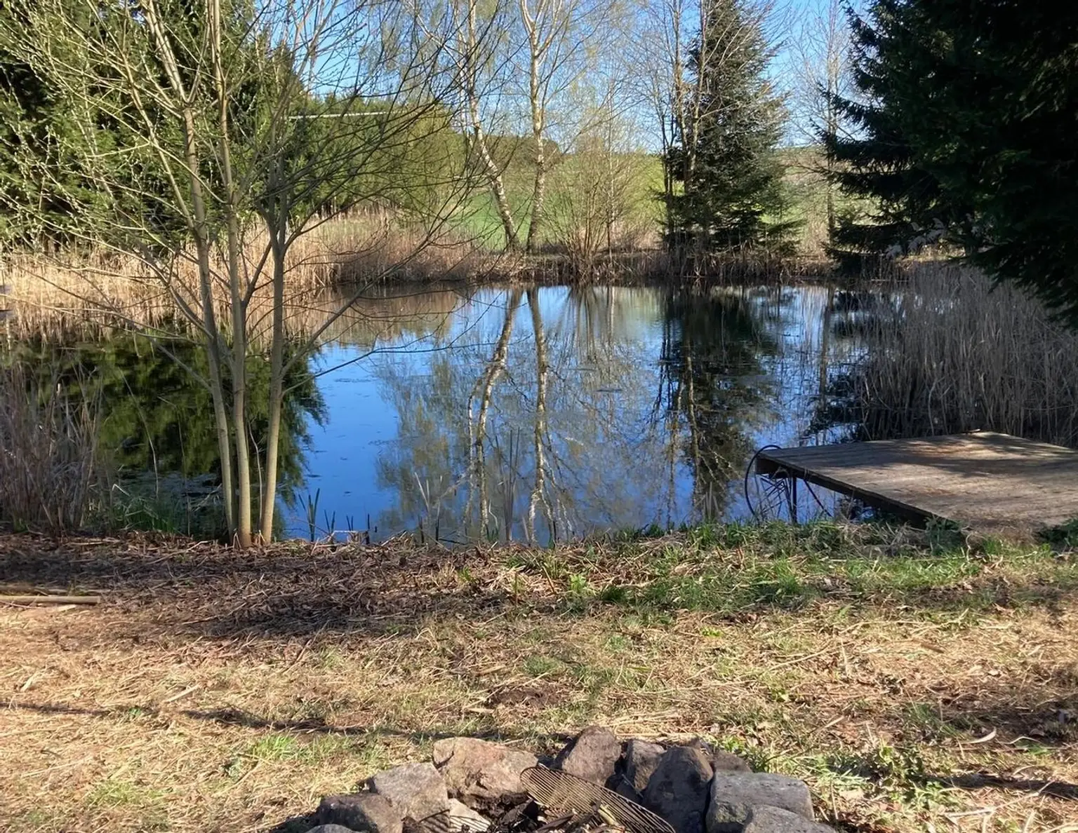 Landschaftsteich mit kleinem Waldanteil (Provisionsfrei)