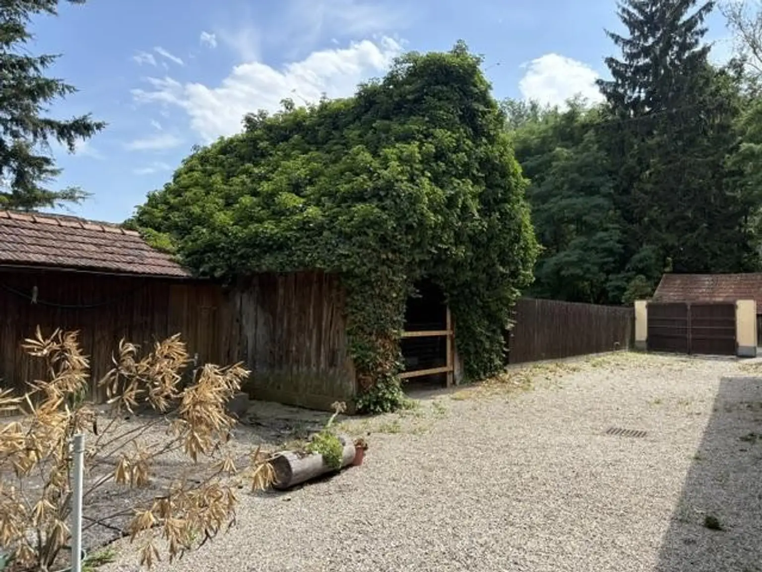 03 Einfahrt