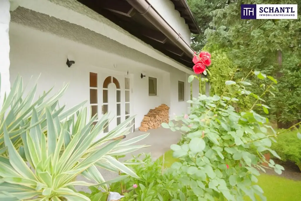 ++ Familienidylle in Grünruhelage ++ Wellnessbereich inklusive + großzügiger Garten mit Altbaumbestand