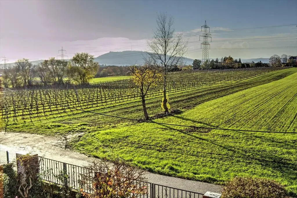 "Ruhelage unbefristet in Stammersdorf"
