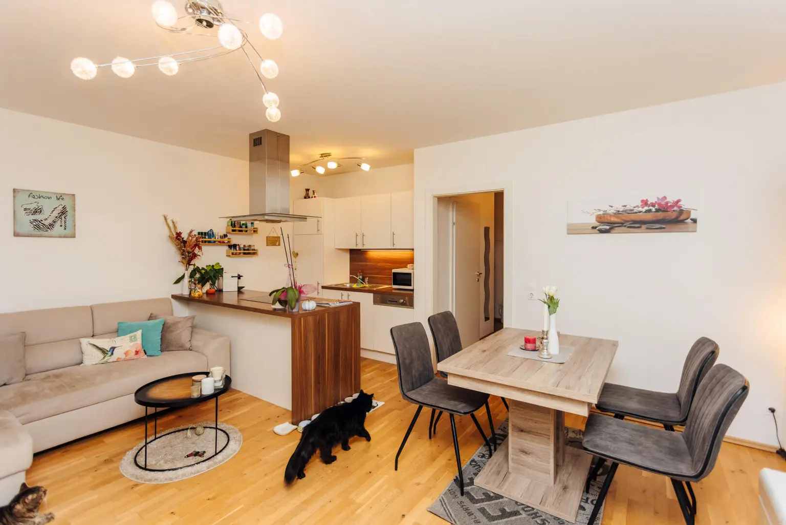 Moderne 2-Zimmer-Anlegerwohnung in Graz-Eggenberg - mit laufenden Mieteinnahmen