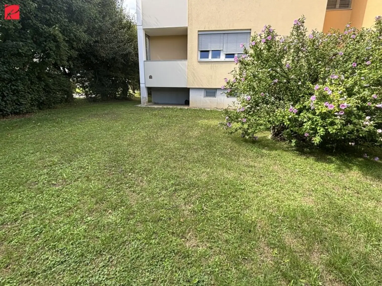 Ein Ort zum Aufblühen – Gartenwohnung mit Charakter!