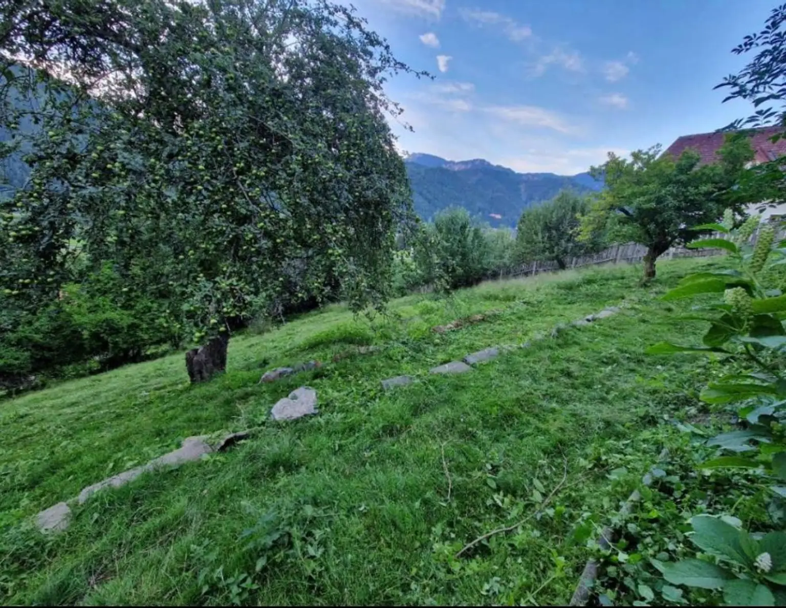 Grundstück mit Traumaussicht in Hanglage