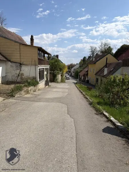 Charmantes Presshaus mit historischem Weinkeller & Entwicklungspotenzial – seltene Gelegenheit!