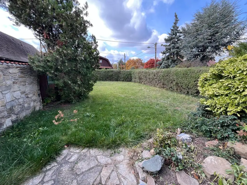 Alte Donau: Kleingartengrundstück mit Altbestand und Entwicklungspotenzial