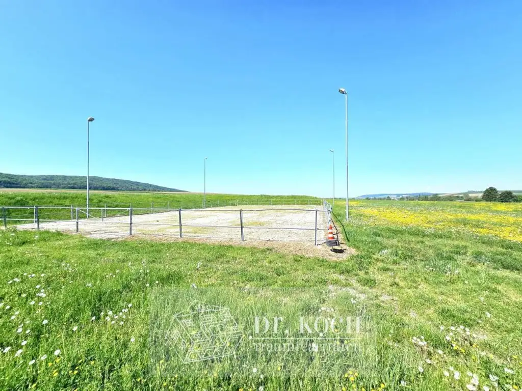Traumhafter Landsitz im Villenstil mit Pferdeställen!