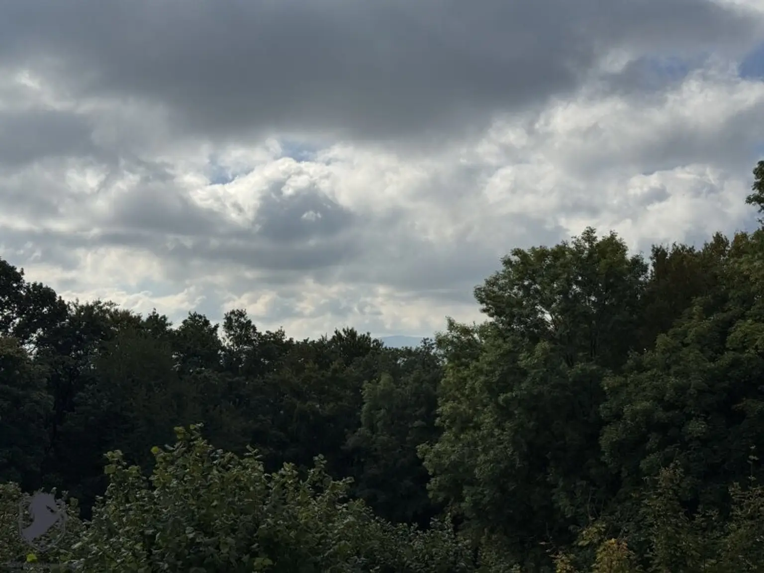 Einfamilienhaus mit großem Keller und traumhaftem Wald-Blick