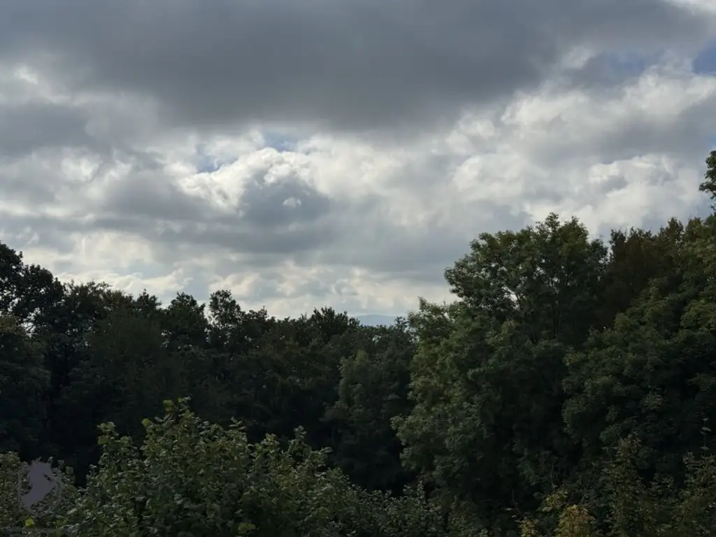 Einfamilienhaus mit großem Keller und traumhaftem Wald-Blick