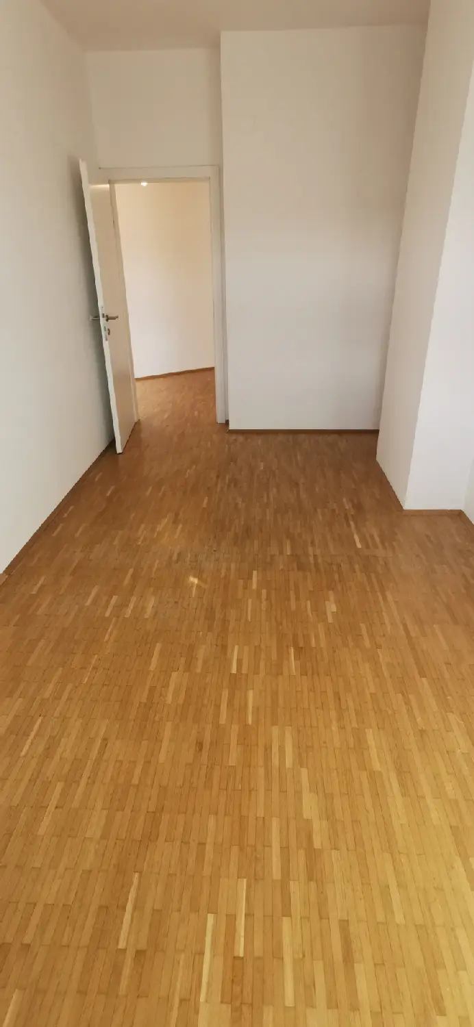 Zimmer III