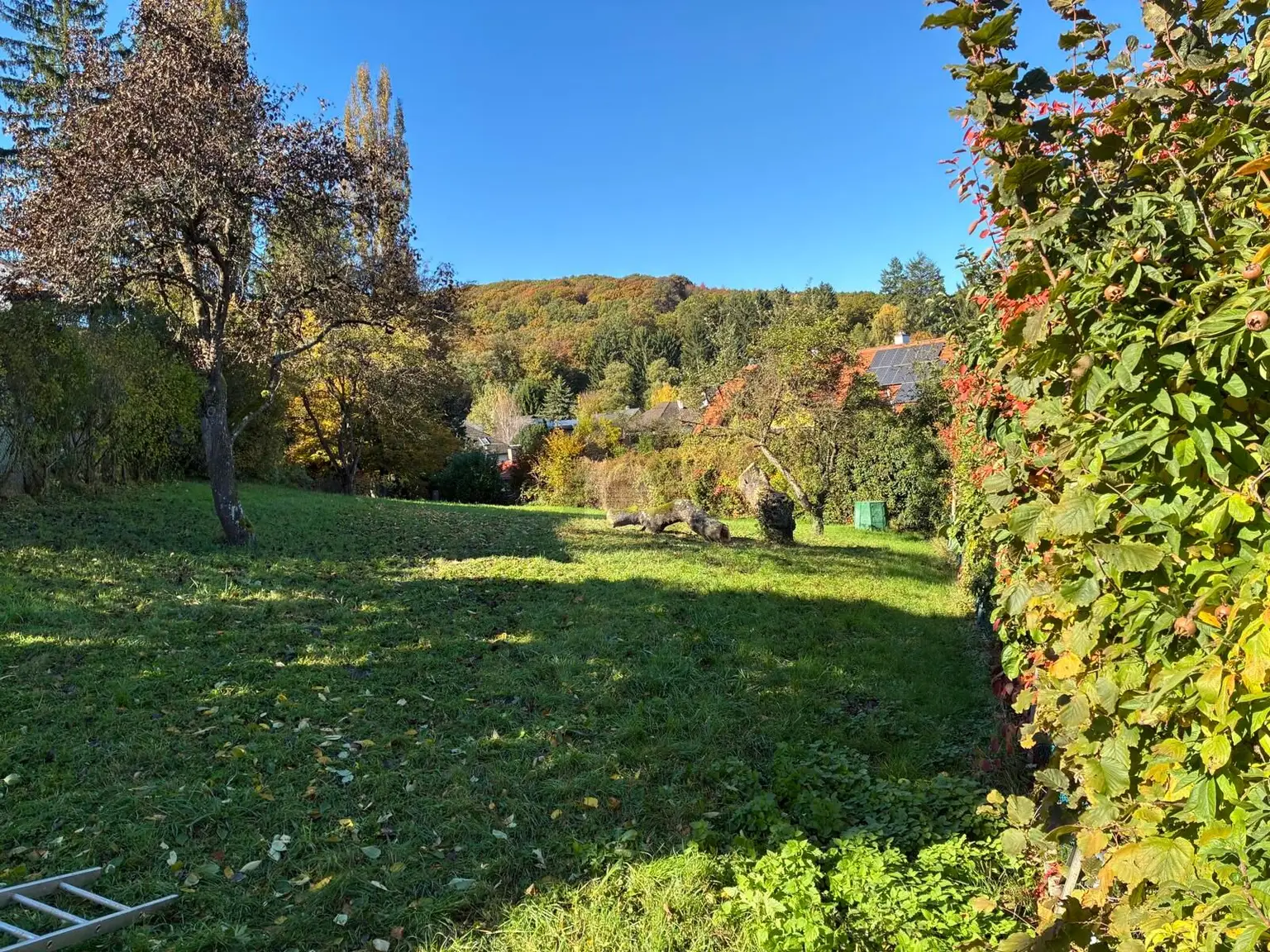 HERRLICH MIT BERG- UND WALDBLICK