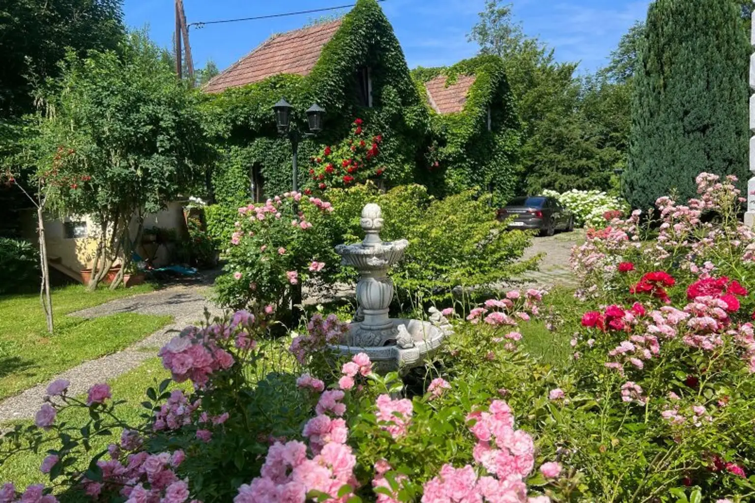Terrasse und Garten