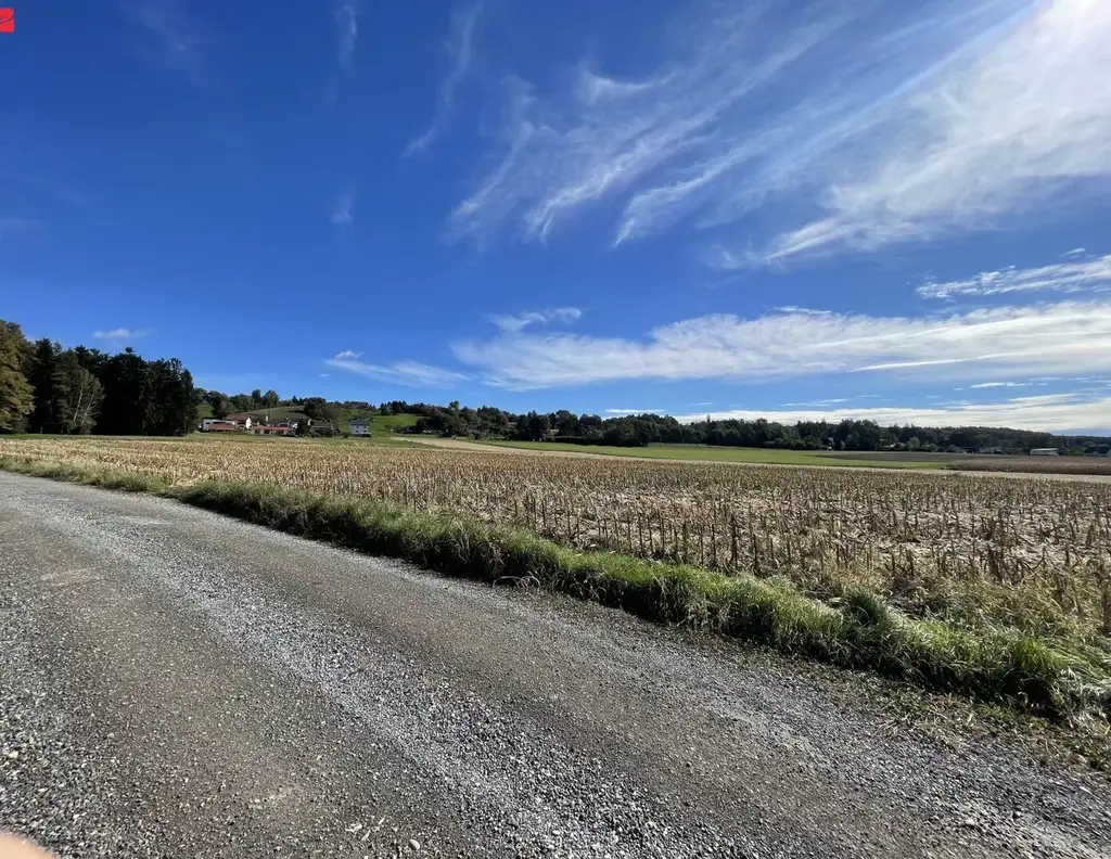 FLACHDACH: Erbauen Sie sich Ihr Traumhaus in malerischer Landschaft