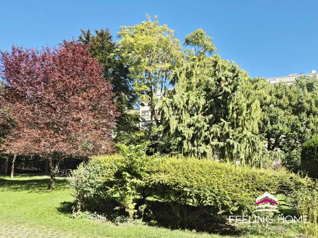 Frisch renoviert & bezugsfertig: 3-Zimmer-Perle mit Schlossnähe & Parkähnlichen Innenhof!