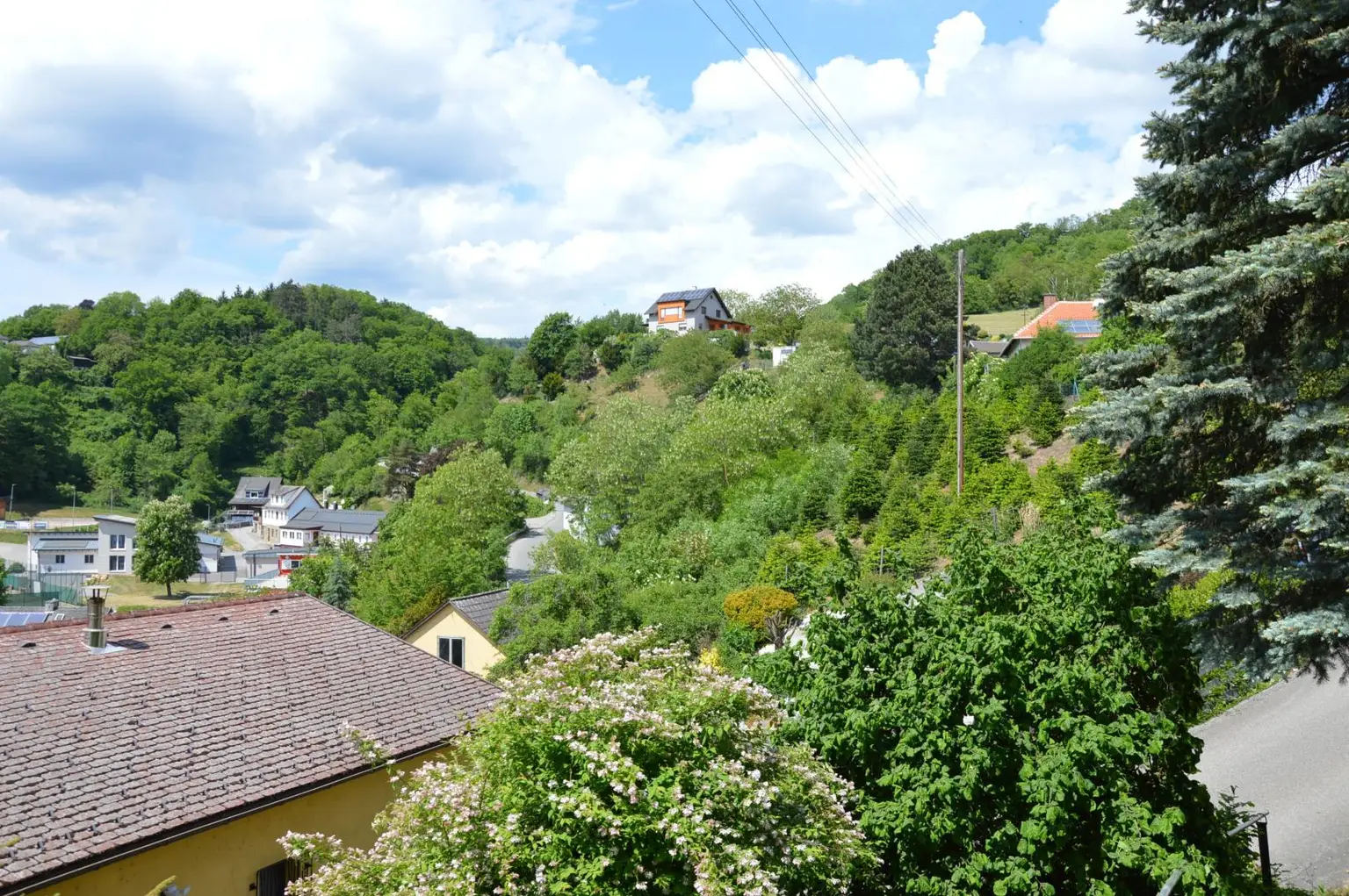 herrlicher Ausblick ins Grüne