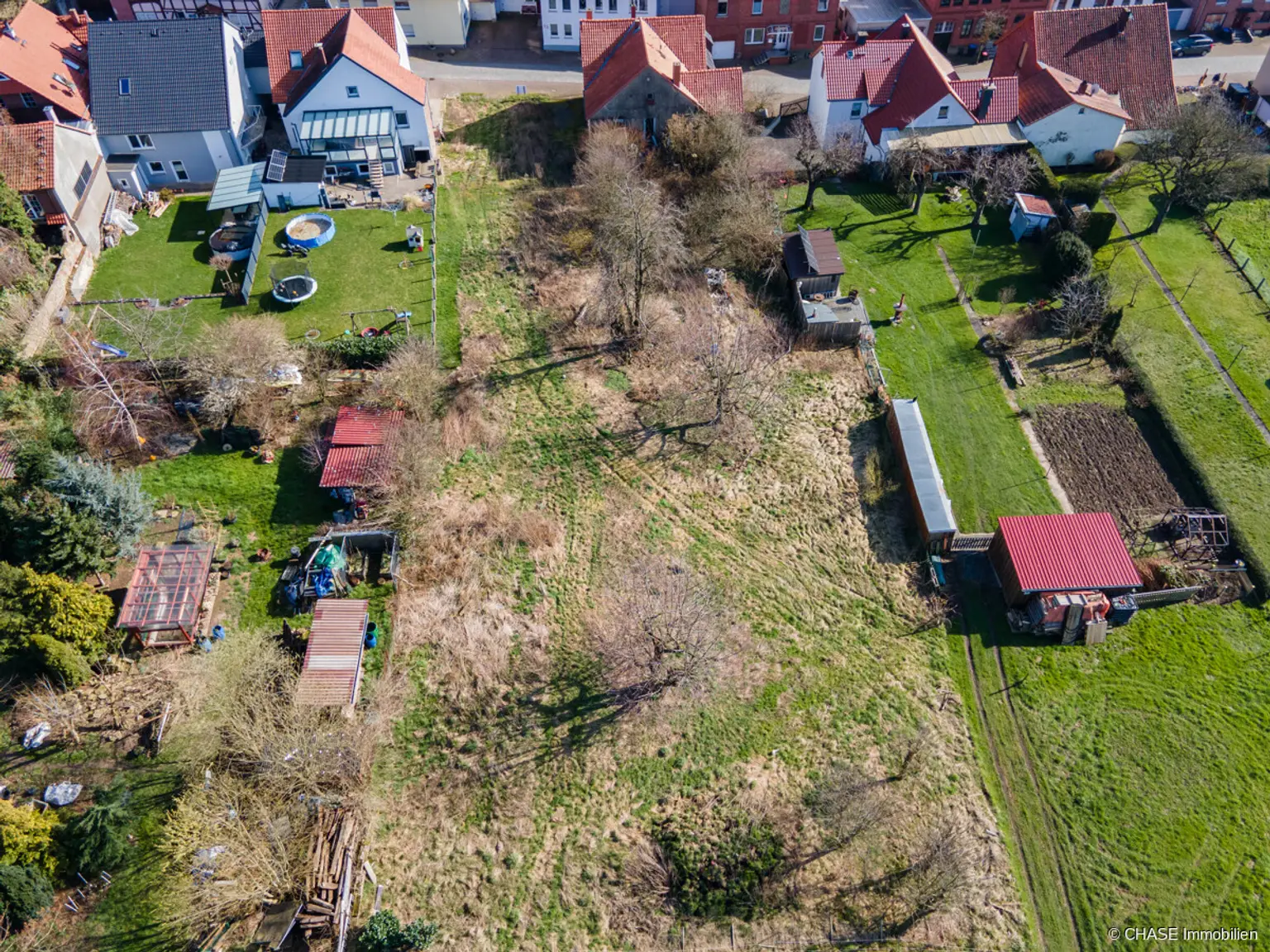 Hinterer Teil Baugrundstück mit Wildwuchs