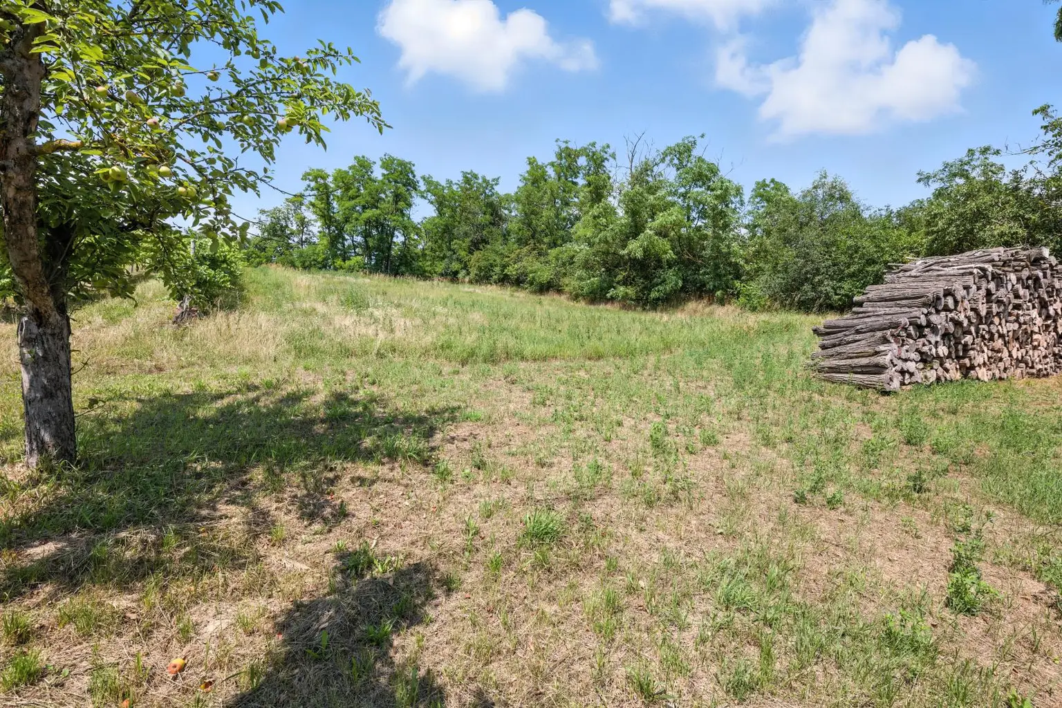 Traditioneller Weinkeller mit Presshaus und 2.421 m² Weingarten in Ebenthal – Ihr Rückzugsort im Weinviertel!