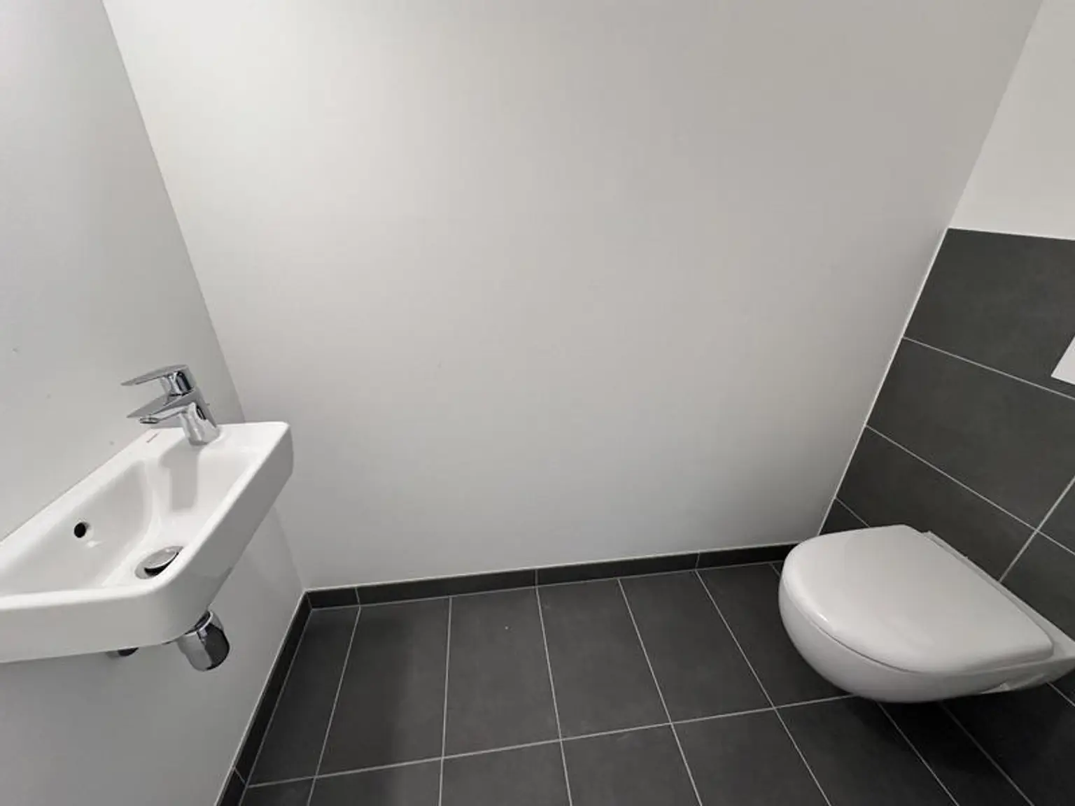 einen Katzensprung von Wien entfernt MIETE