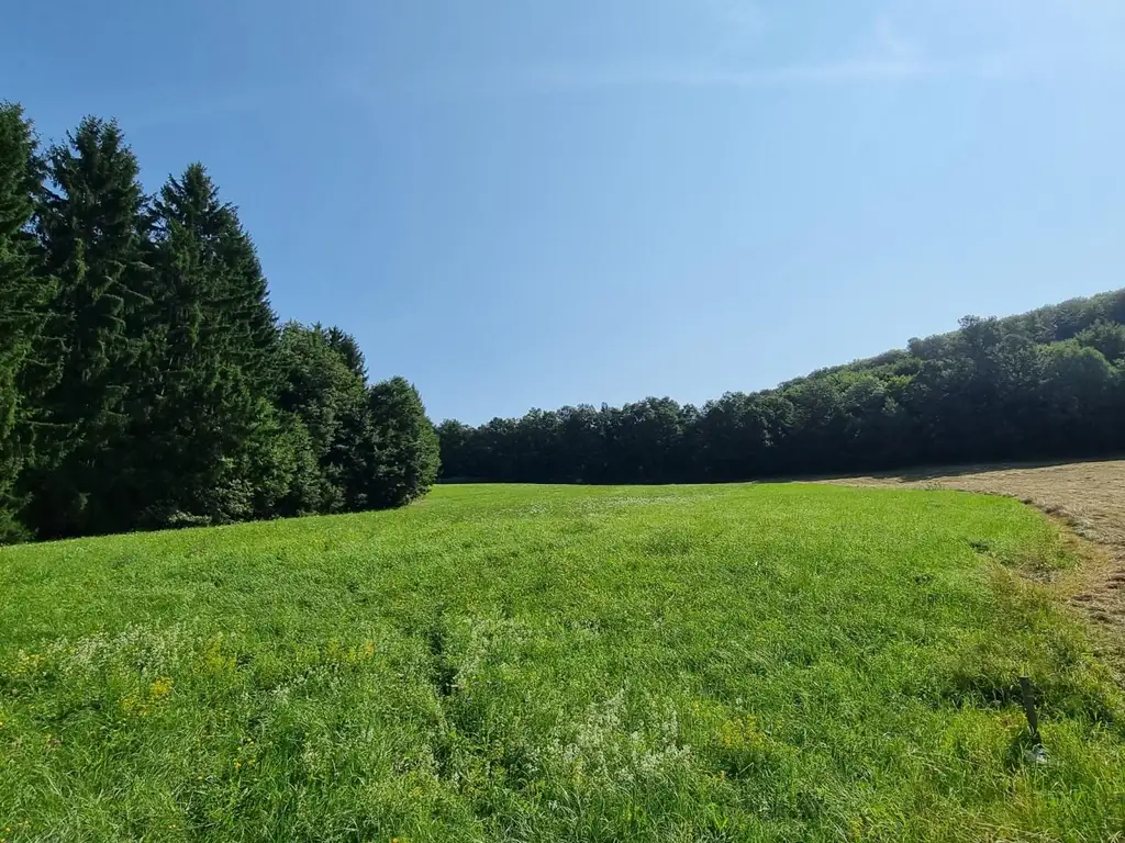 LANDWIRTSCHAFT VOR DEN TOREN WIENS