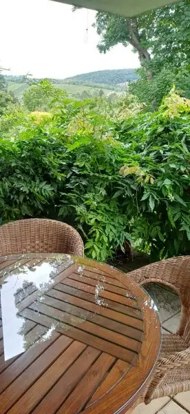 Bestaufgeteilte 99m2 Familienwohnung mit Wintergarten & Balkon ins Grüne! Toplage in Döbling!