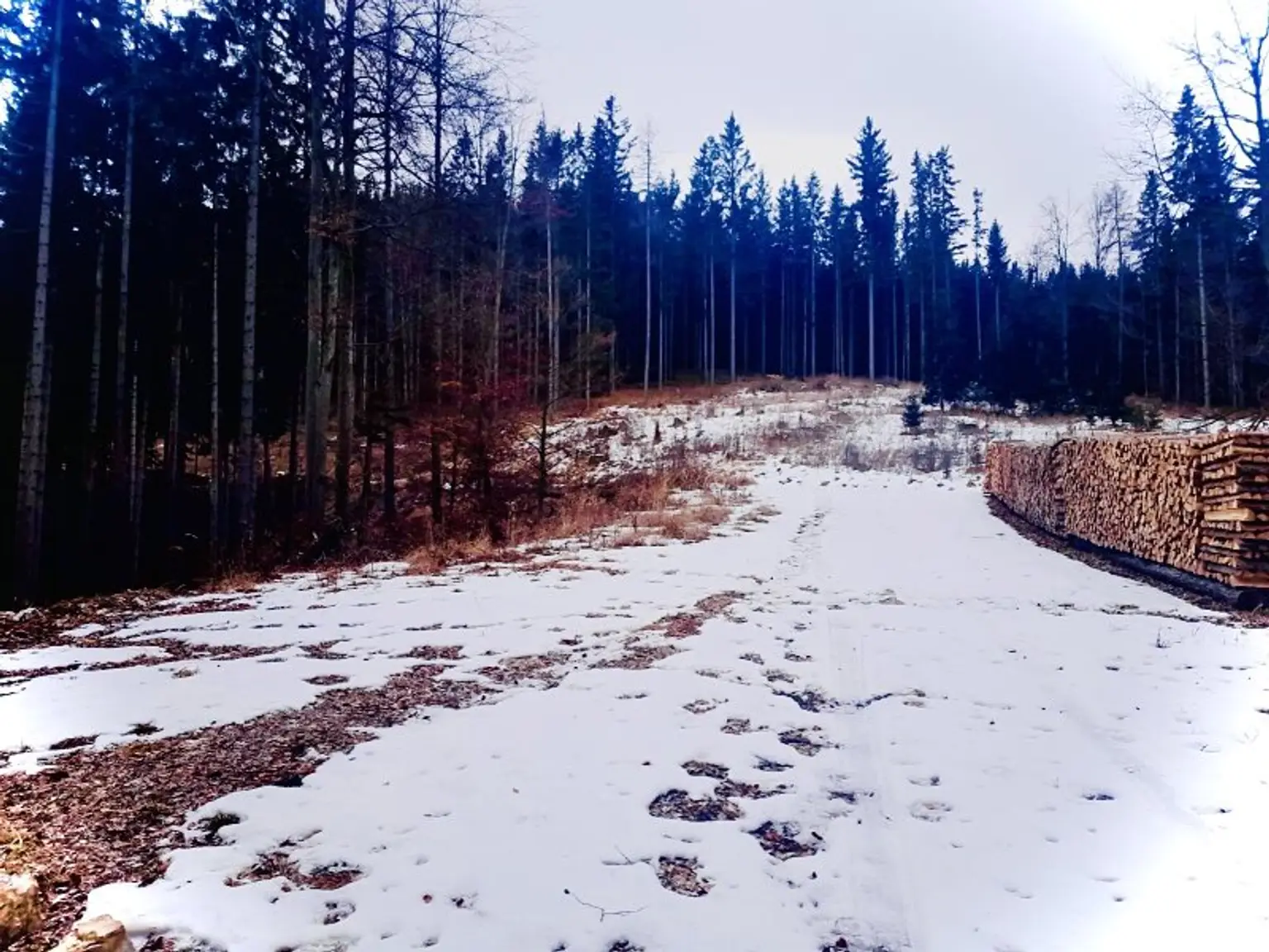 Wege zum Bewirtschaften