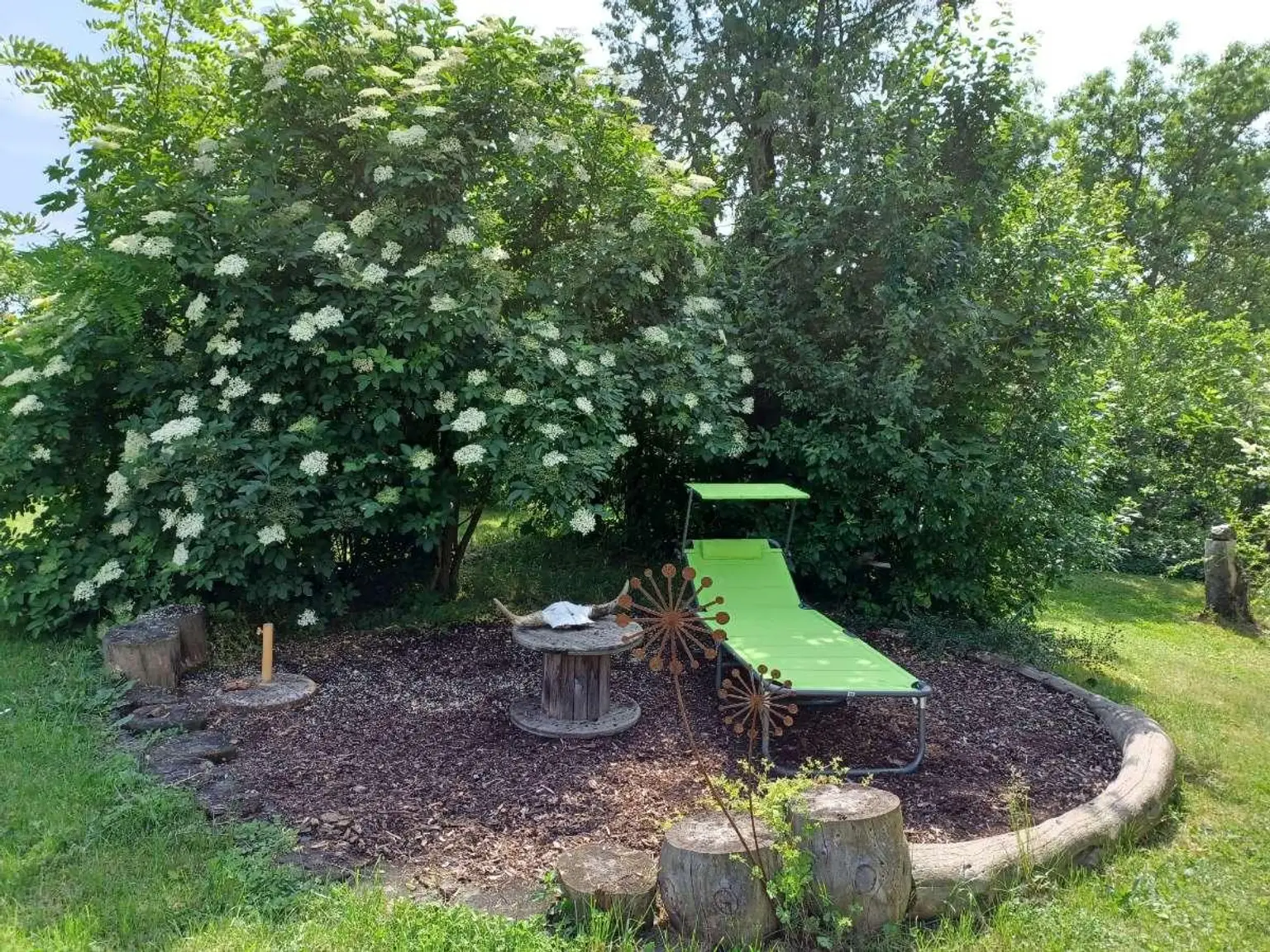 Garteneindrücke Sommer (5)