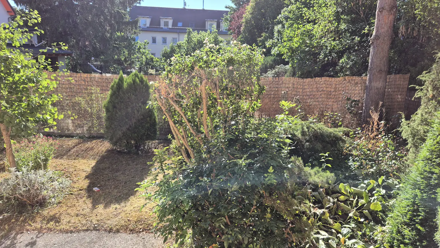Blick in den Garten