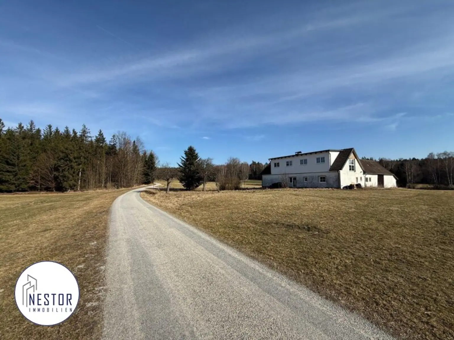 Haus - NESTOR Immobilien