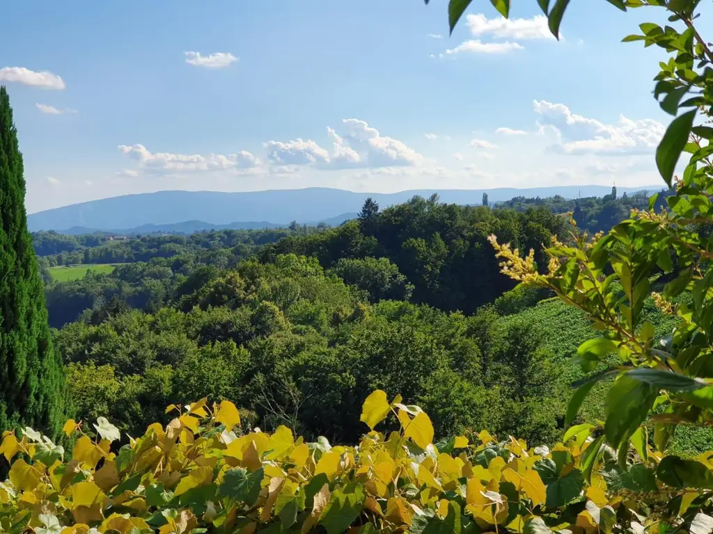 SLOWENIEN!!! Sanierungsbedürftiges Knusperhäuschen in einmaliger Aussichtslage!
