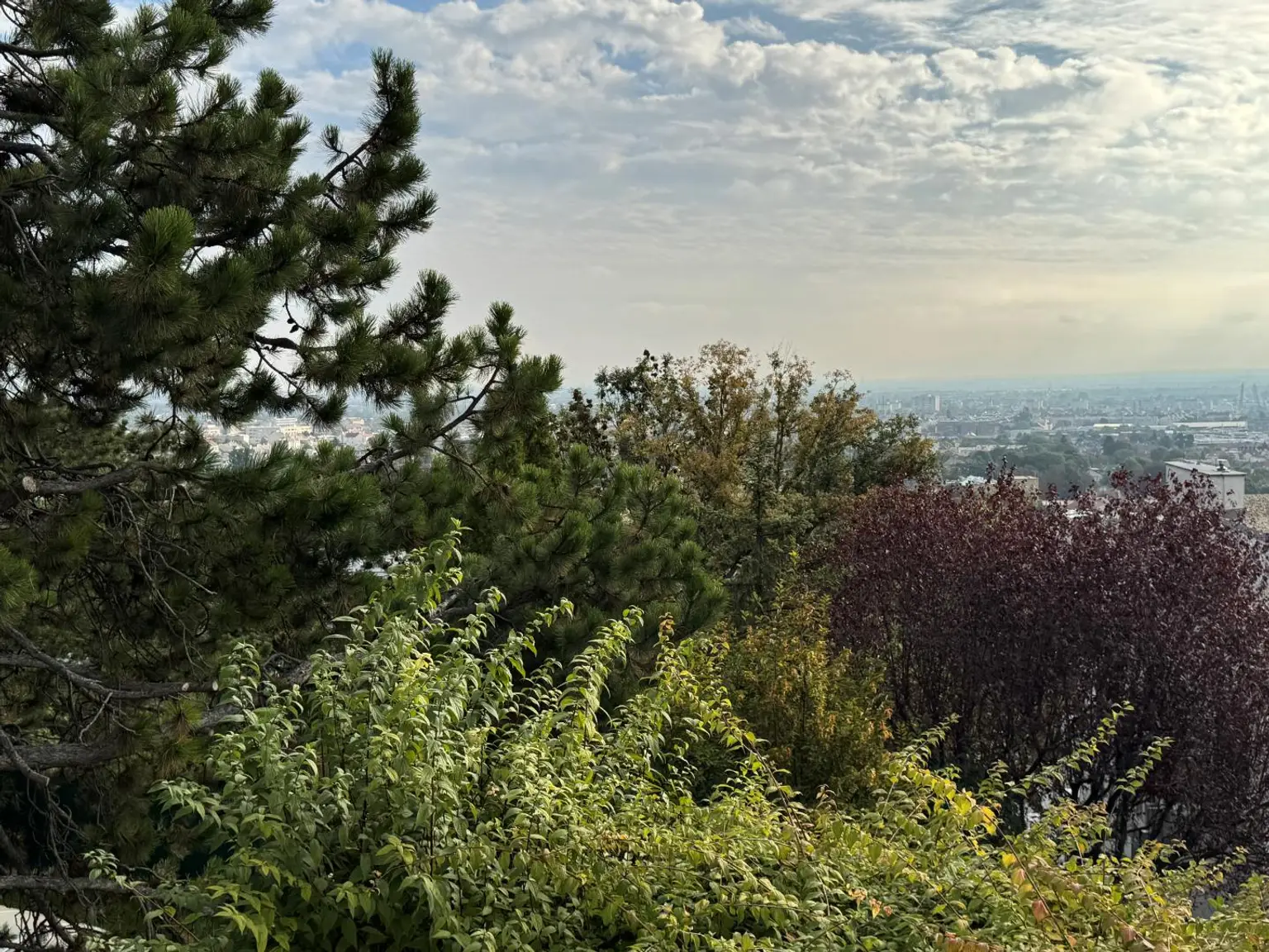 Ihr Einfamilienhaus mit Panorama-Ausblick und Pool in Mödlinger Bestlage!