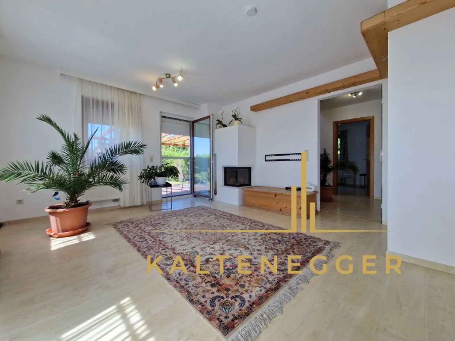 EG: Wohnzimmer + Kamin