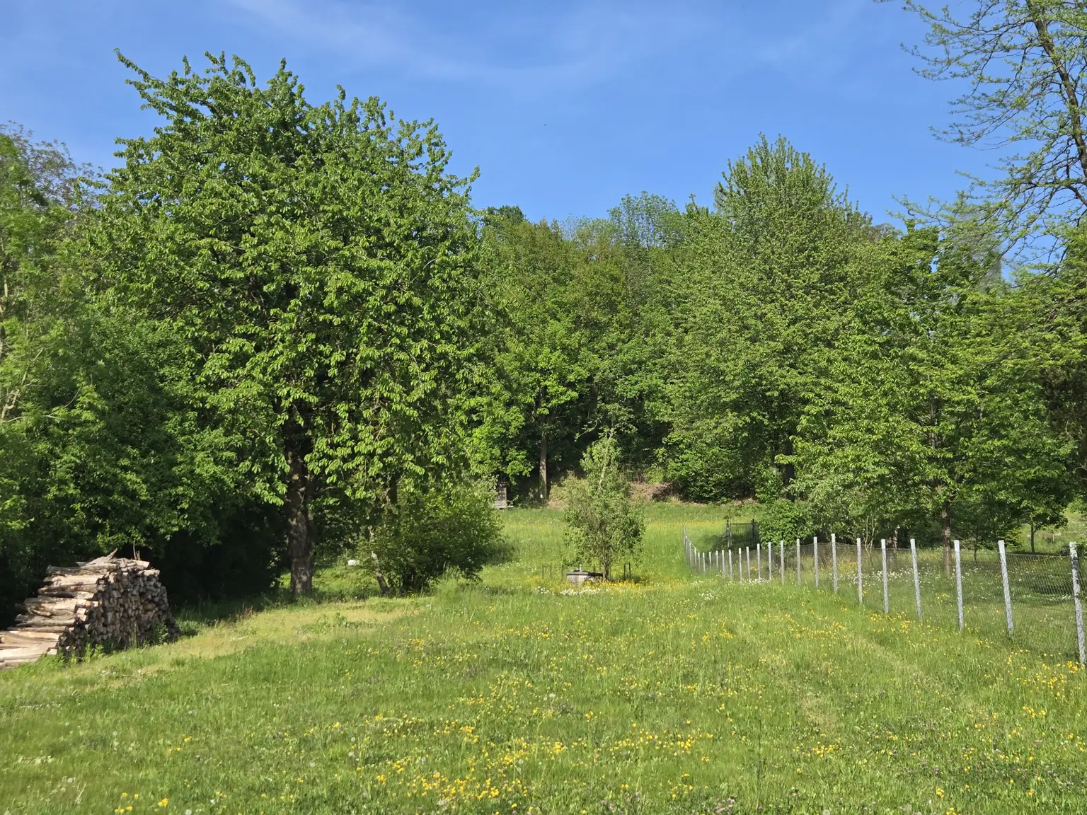 Sonniger Garten mit Blick auf Brunnen