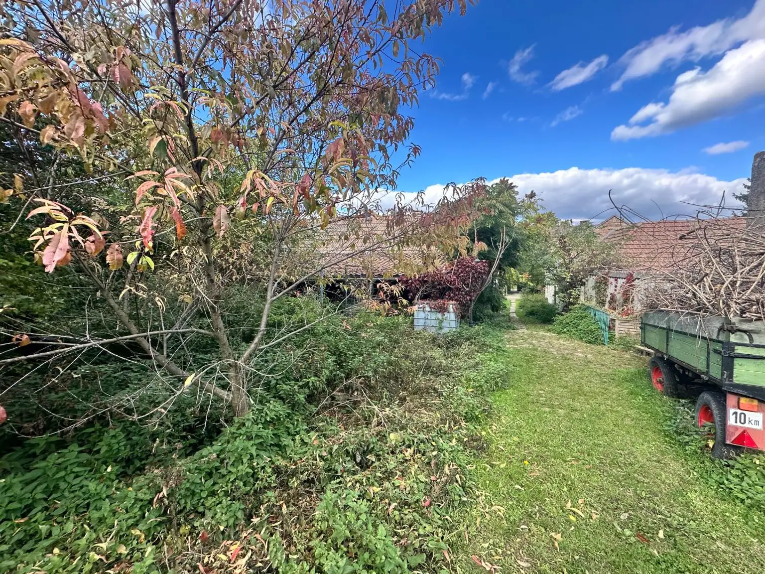 Reiterparadies im Weinviertel – Ihr Traum vom Landleben!