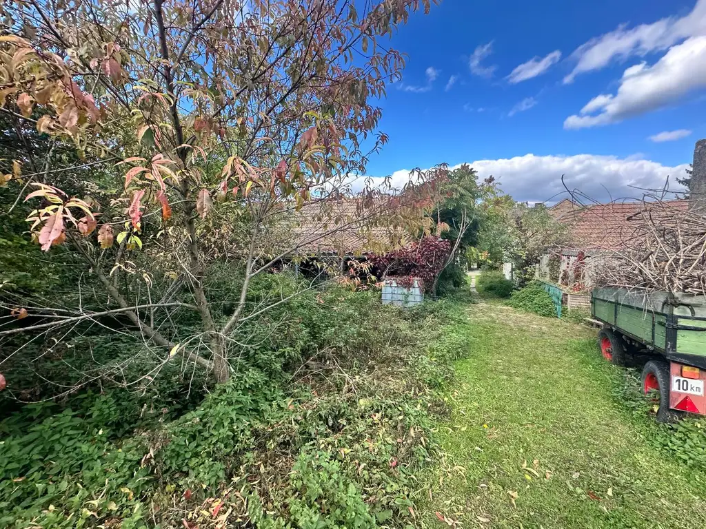 Reiterparadies im Weinviertel – Ihr Traum vom Landleben!