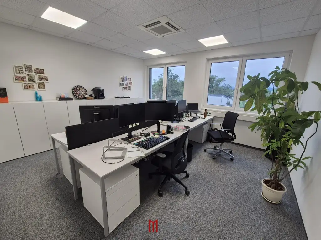 Bürofläche in Graz-Puntigam