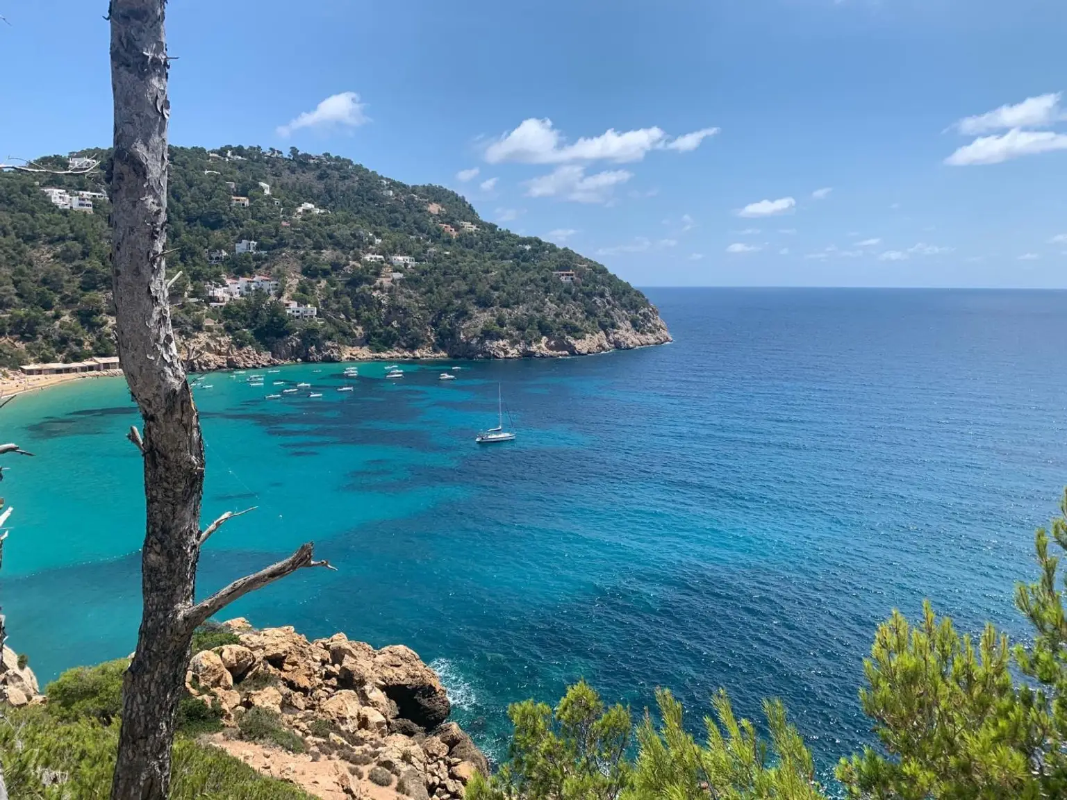 La Joya - Los Corales