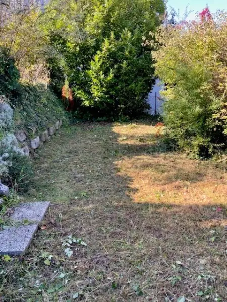 Ihr Sonnengrundstück im begehrten Sachsenviertel