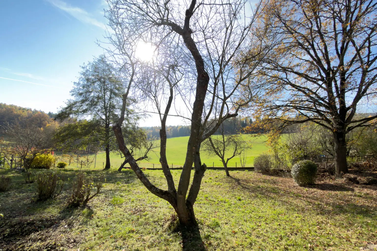 Licht, Leben & Landschaft – Ein Haus mit Herz in Thal bei Graz