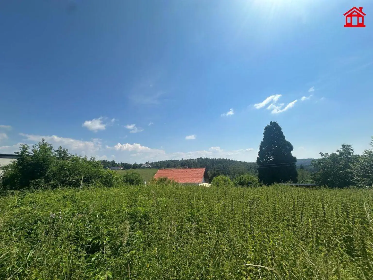 Zielfoto Baugrund Lassnitzhöhe