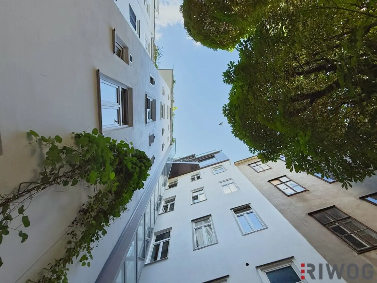 CITY APARTMENT - Erstbezug nach Sanierung | Garconniere