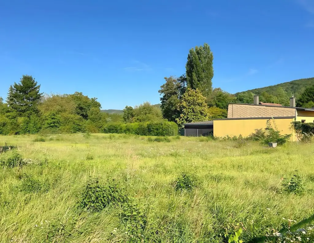 Sonniges Baugrundstück in Wolfpassing: 2.102m² für 989.000 € - Ihr Platz zum Leben! AUCH FÜR BAUTRÄGER INTERESSANT!