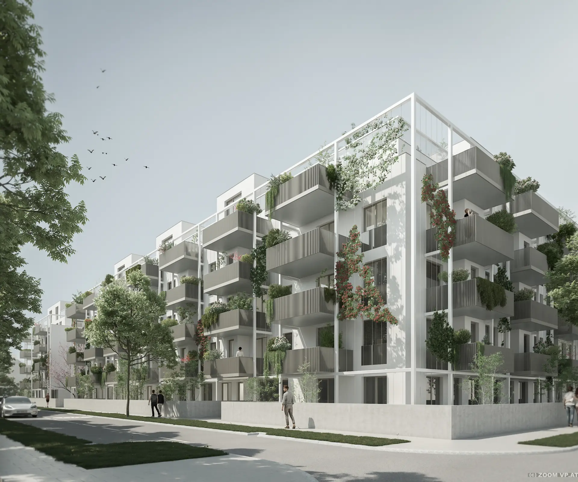 (c)2024 ZOOMVP_MH St. Veit-Gasse 25_UE8_c15