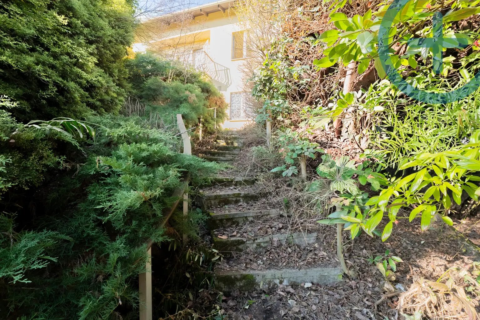 Rohdiamant mit 795m² Traumgrund