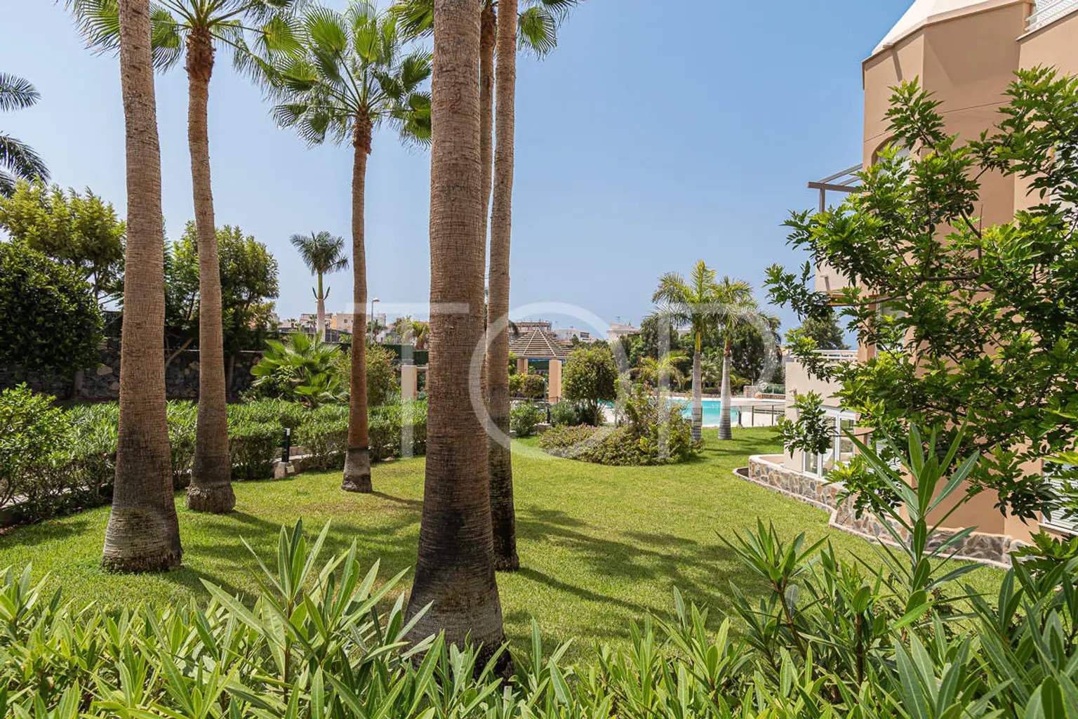 Oasis-La-Caleta-Green-Areas-Tenerife-5