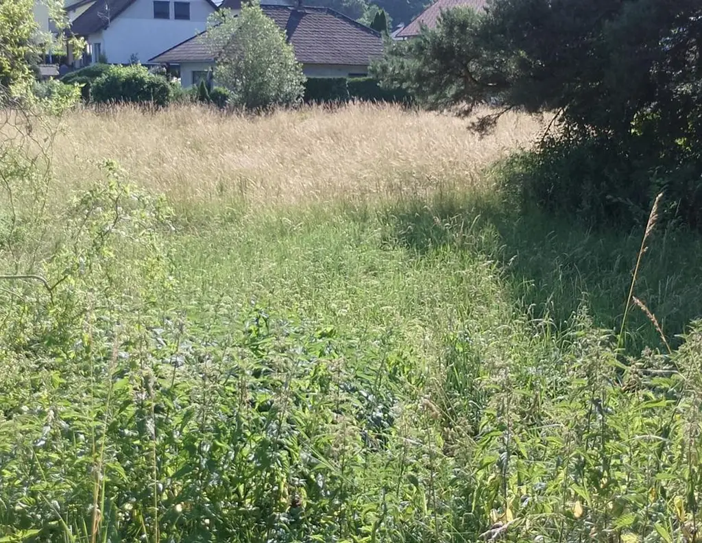 Ruhiger Baugrund in Heiligenkreuz